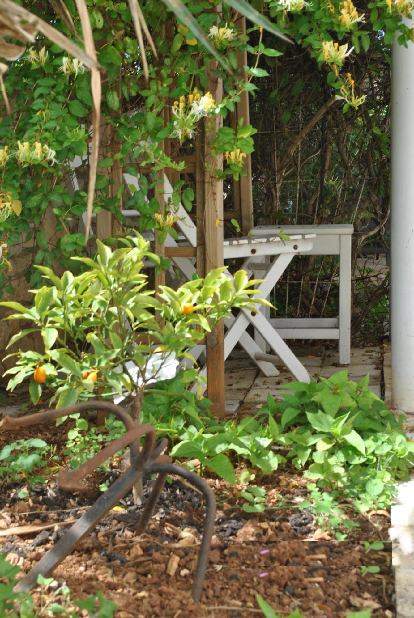 Villa Marizella Premantura Εξωτερικό φωτογραφία